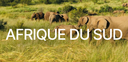 Afrique du Sud