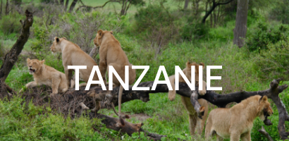Tanzanie